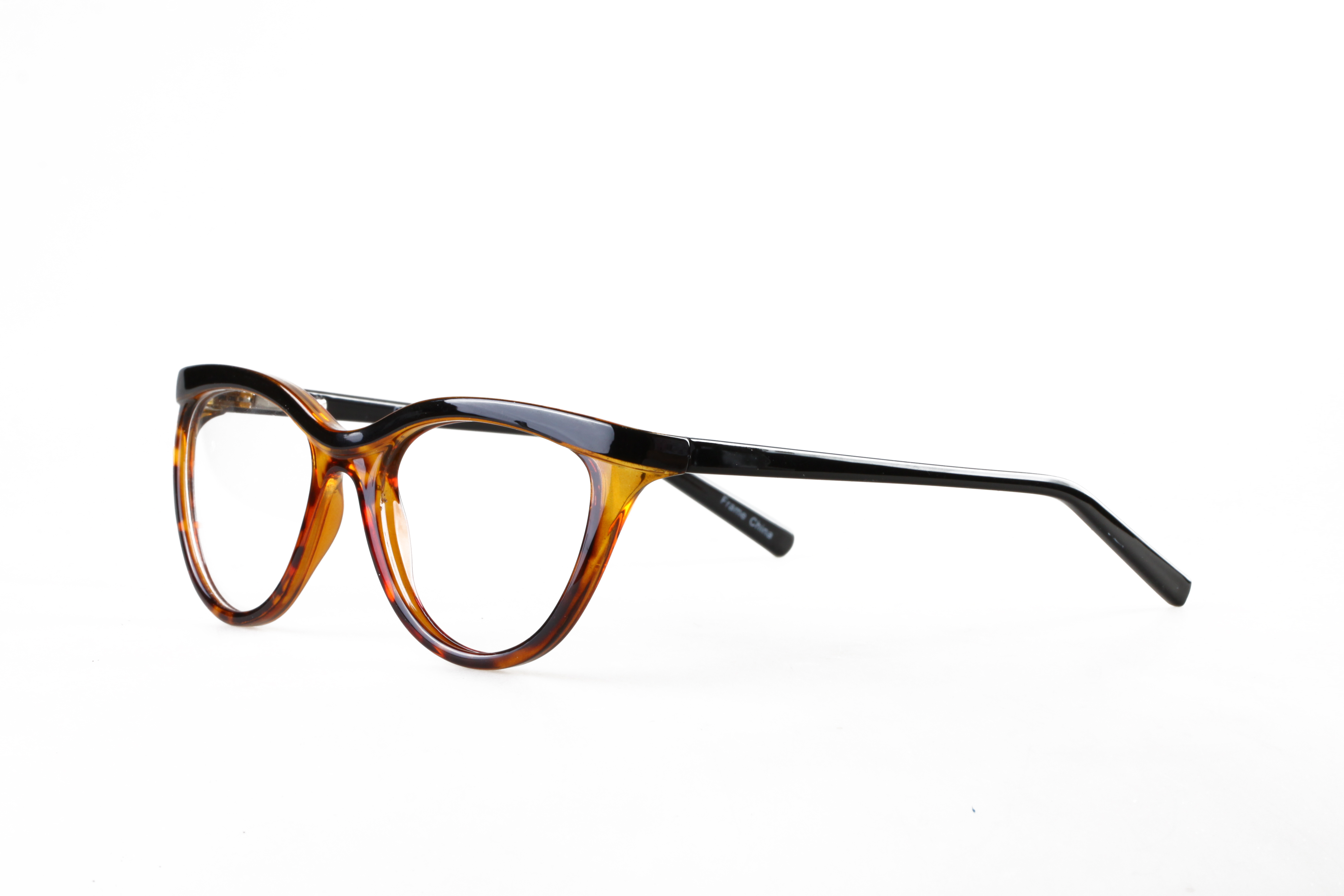 CAPPI-US79 50-18-135TORTOISE (2)